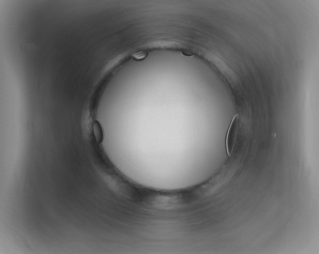 X0000112420160200908141052