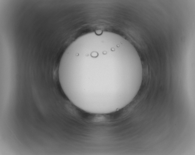 X0000112420177200908141053