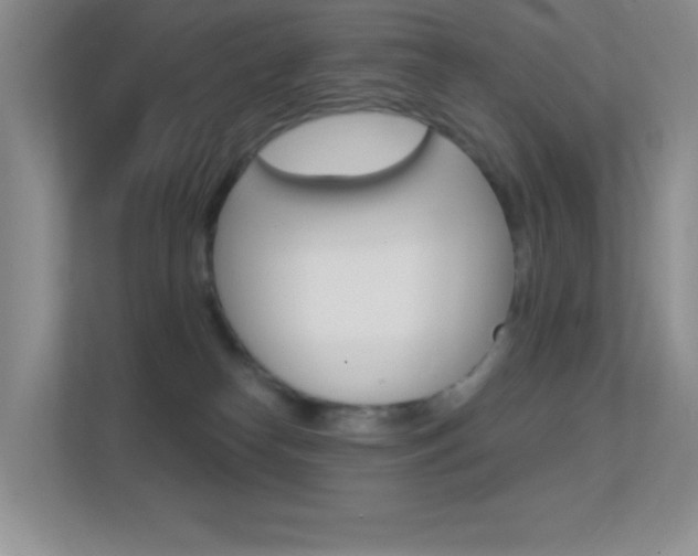 X0000112420182200908141053