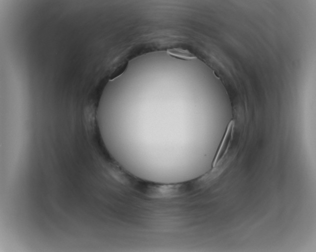 X0000112420184200908141053