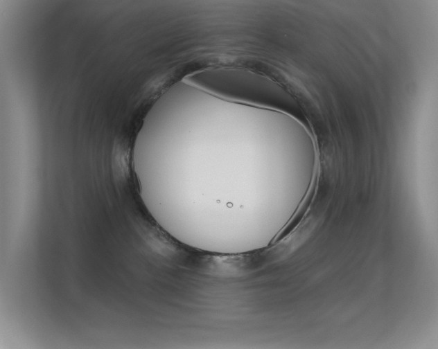 X0000112420188200908141053