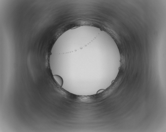 X0000112420189200908141053