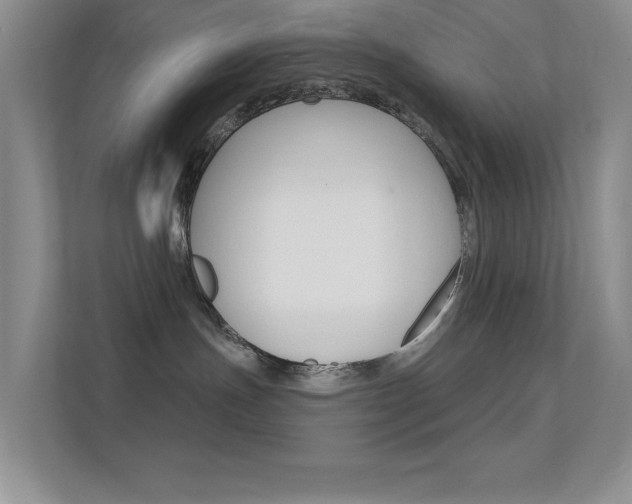 X0000112420191200908141053