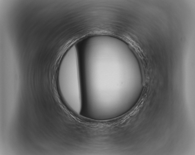 X0000112420193200908141052