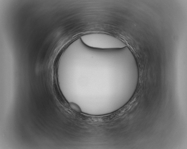 X0000112420194200908141052
