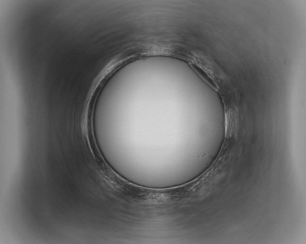 X0000112420195200908141052