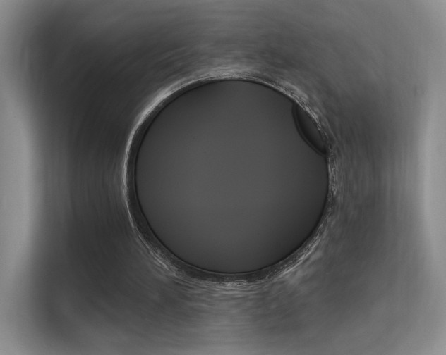 X0000112420196200908141052