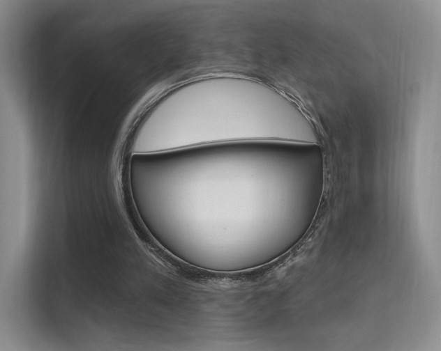X0000112420197200908141052
