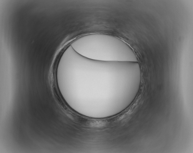 X0000112420198200908141052