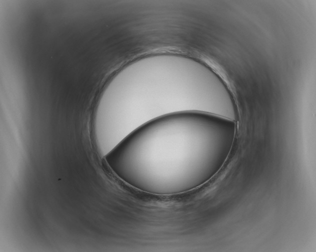 X0000112420201200908141052