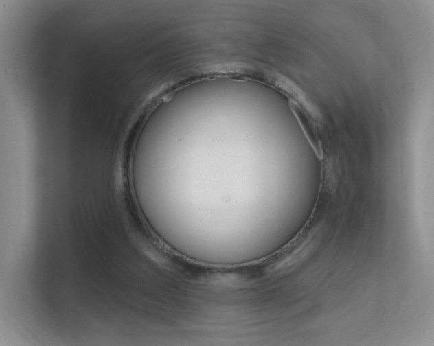 X0000112420203200908141052