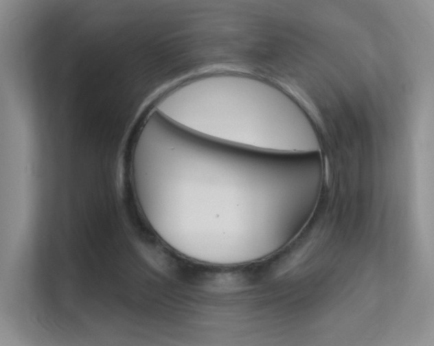 X0000112420204200908141052