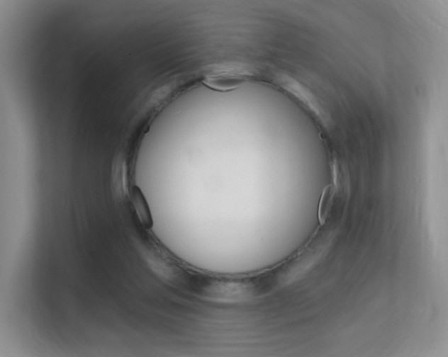 X0000112420205200908141052