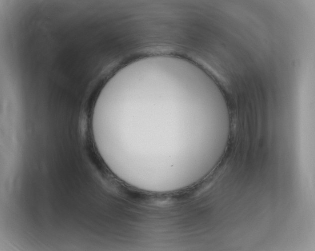 X0000112420206200908141052