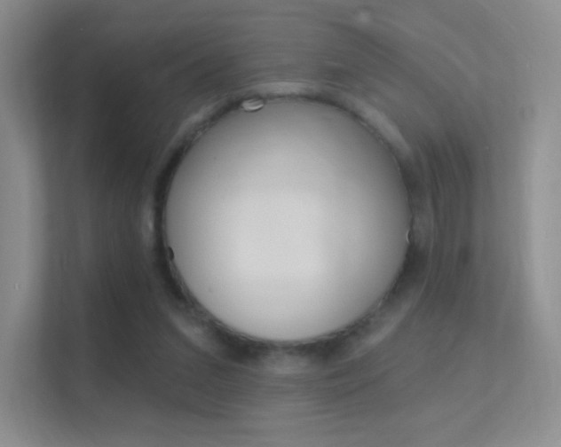 X0000112420207200908141052