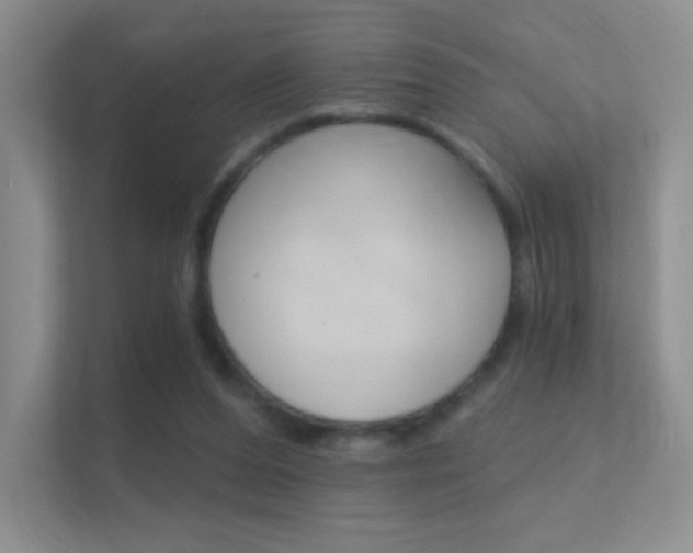 X0000112420208200908141052