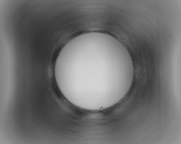 X0000112420210200908141052