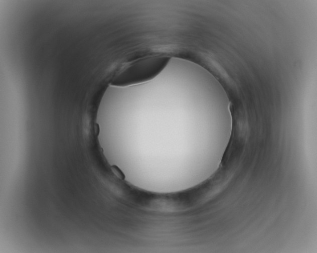 X0000112420211200908141052