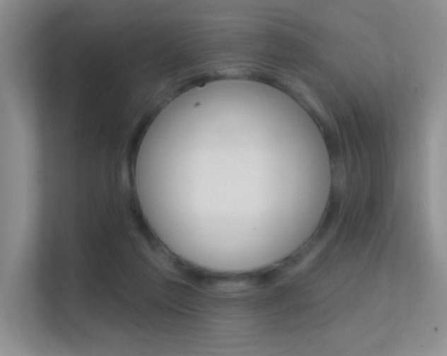 X0000112420213200908141052