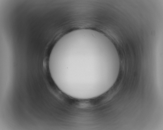 X0000112420214200908141052