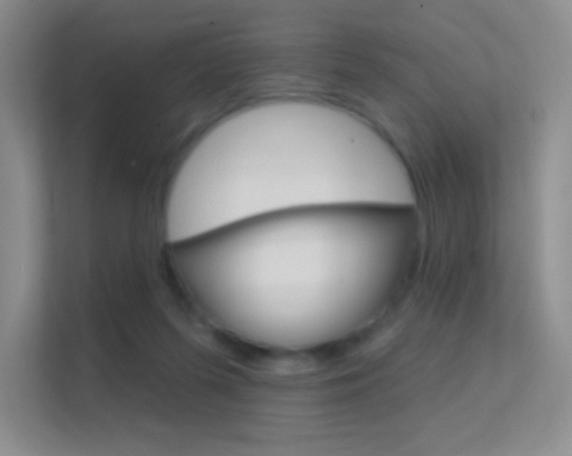 X0000112420215200908141052