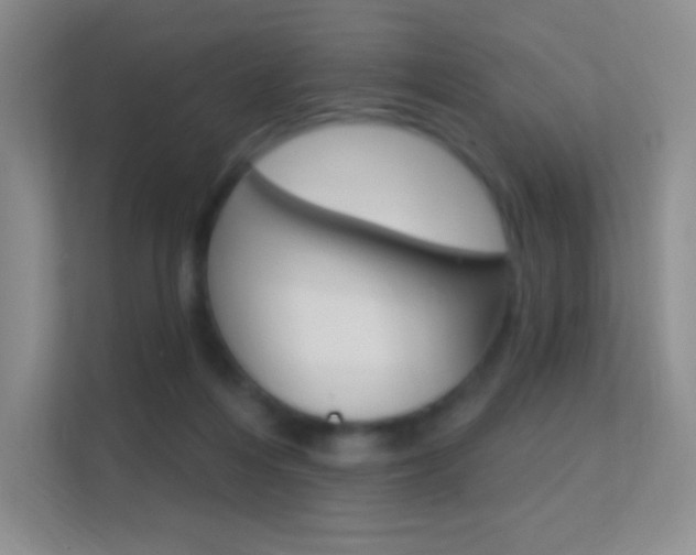X0000112420216200908141052