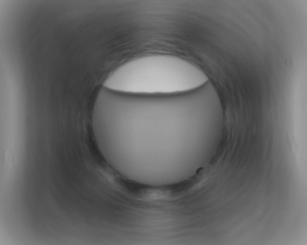X0000112420223200908141052