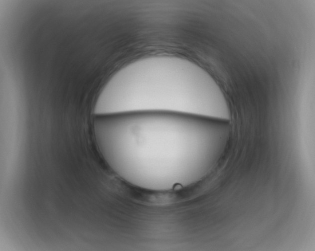 X0000112420225200908141052