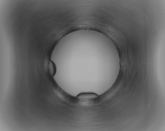 X0000112420231200908141052
