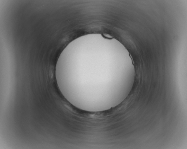 X0000112420232200908141052