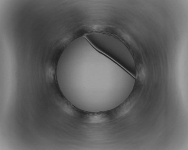 X0000112420235200908141052