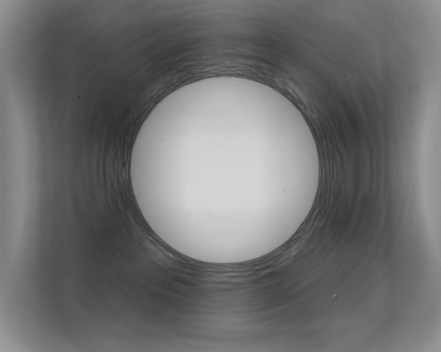 X0000112420237200908141052