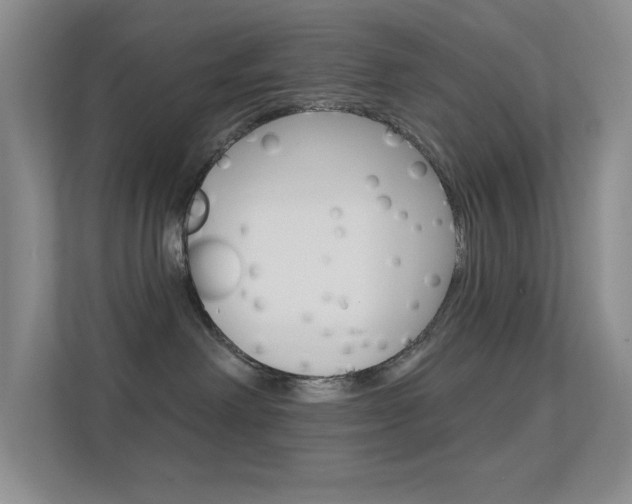X0000112420238200908141052