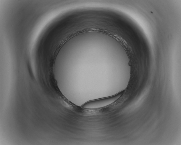 X0000112420239200908141052