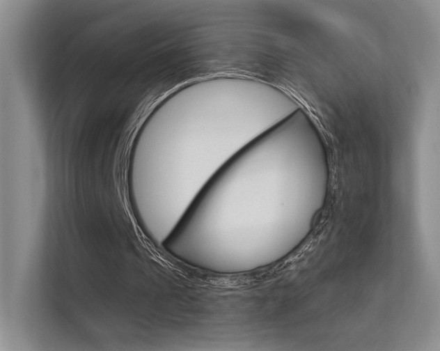 X0000112420241200908141051