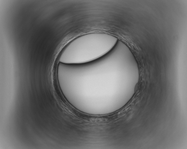 X0000112420242200908141051
