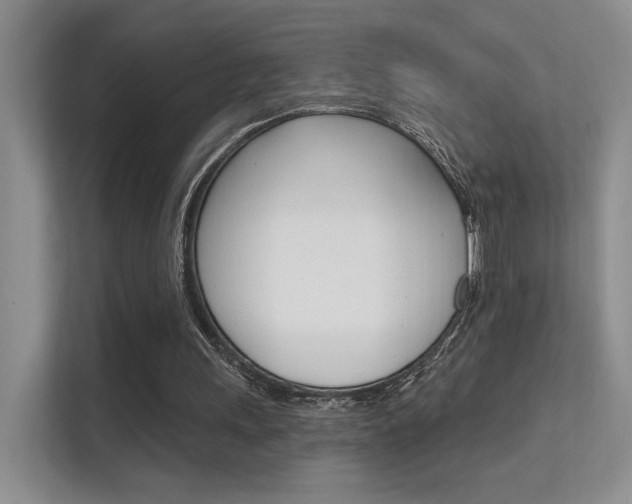 X0000112420243200908141051