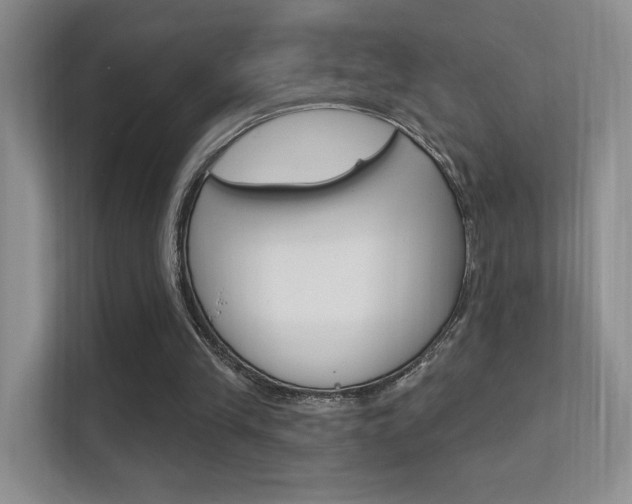 X0000112420245200908141051