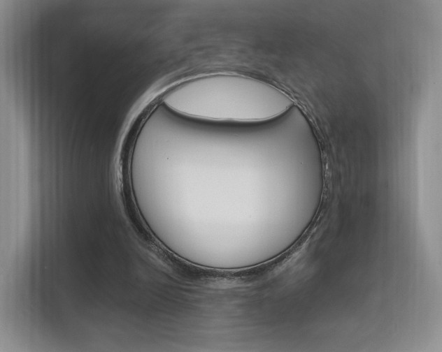 X0000112420246200908141051