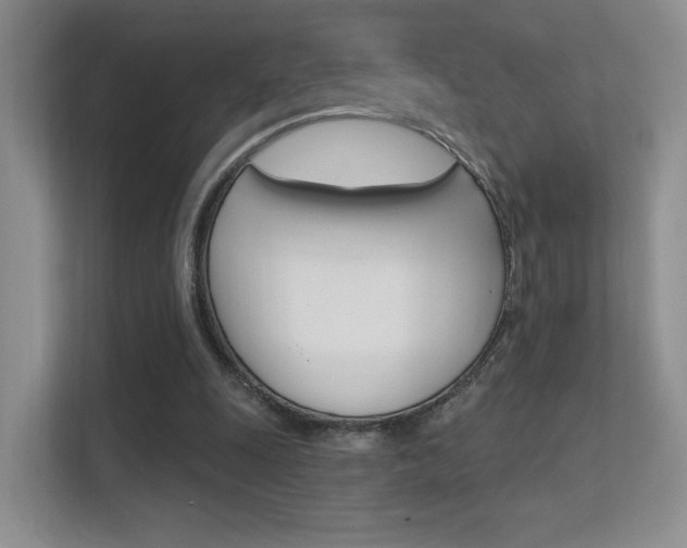 X0000112420247200908141051