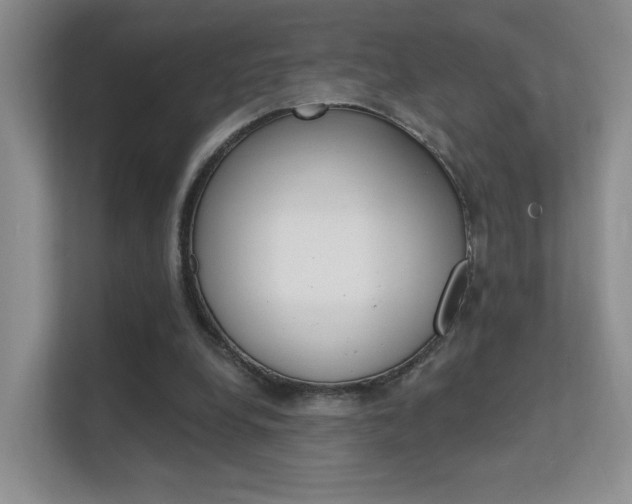 X0000112420248200908141051
