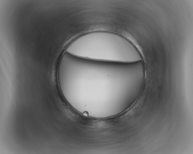 X0000112420249200908141051