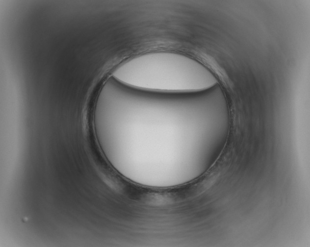 X0000112420250200908141051