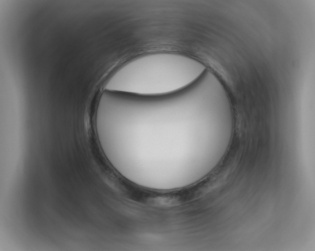 X0000112420251200908141051