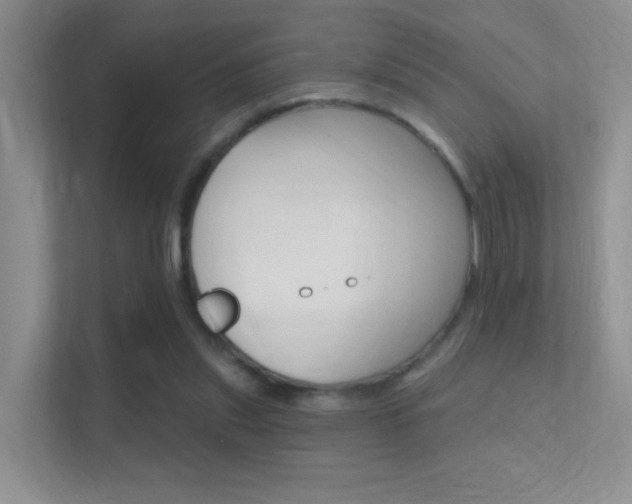 X0000112420253200908141051