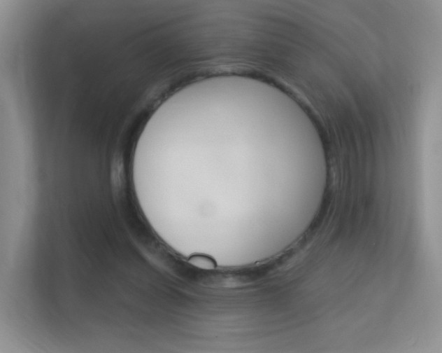 X0000112420254200908141051