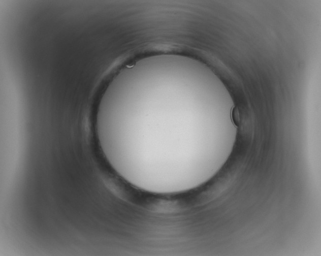 X0000112420256200908141051