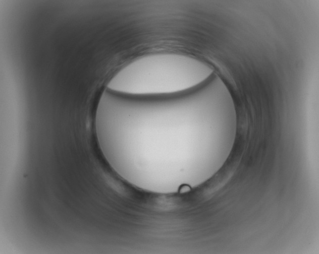X0000112420261200908141051