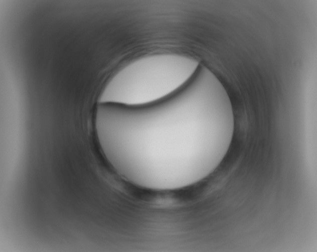 X0000112420262200908141051