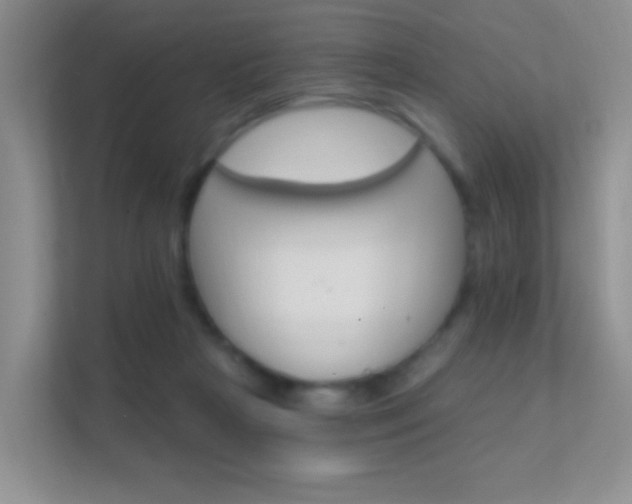 X0000112420265200908141051